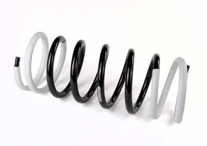 Mercedes Coil Spring - Rear 460324070452